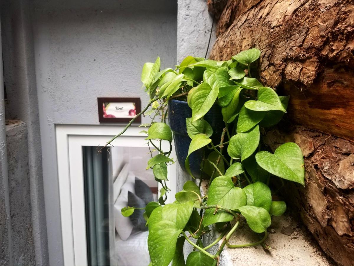 Ferienwohnung Ribe'S House Đà Lạt Exterior foto